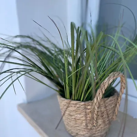 Bed and Breakfast 24